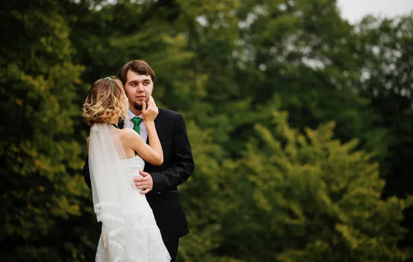 Abbracciare matrimonio coppia innamorata su nuvoloso tempo all'aperto . — Foto Stock