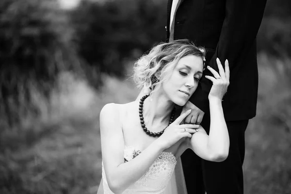 La novia abraza la mano del novio. El día de la boda de los recién casados enamorados. Negro a —  Fotos de Stock