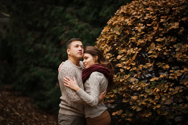 Ci에 사랑에 포옹 묶인된 따뜻한 스웨터를 입고 젊은 부부 — 스톡 사진