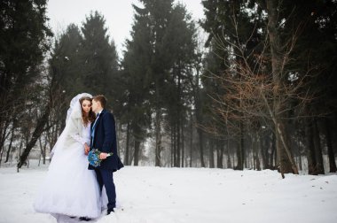 Orman sis ile kış gününde genç şık düğün çifte. L