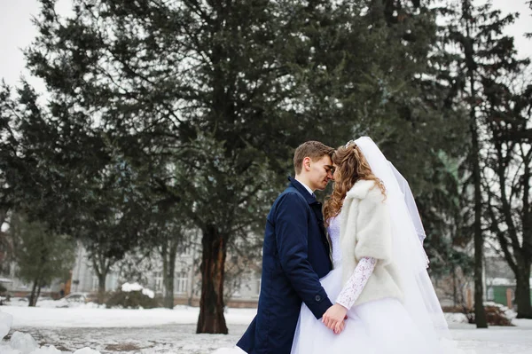 Pareja de boda con estilo en el fondo del día de invierno madera de pino . — Foto de Stock