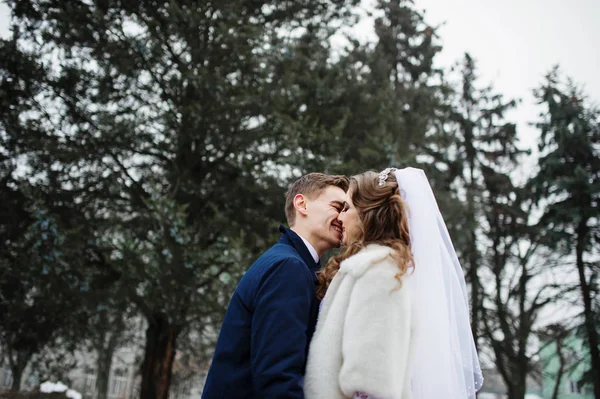 Elegáns esküvői pár a téli nap háttér fenyőfa. — Stock Fotó