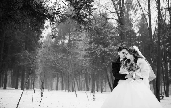 Joven pareja de boda con estilo en el bosque en el día de invierno. Amando lo nuevo — Foto de Stock