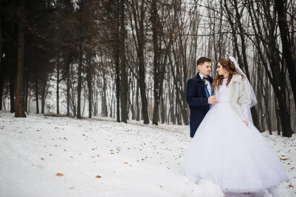 Young stylish wedding couple at forest on winter day. Loving new — Stock Photo, Image