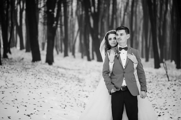 冬の日の森で若いスタイリッシュな結婚式。新しい愛 — ストック写真
