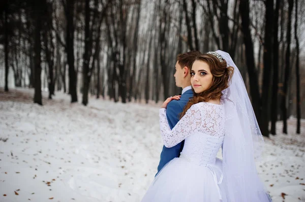 Junges stilvolles Hochzeitspaar im Wald an einem Wintertag. Liebevoll neu — Stockfoto