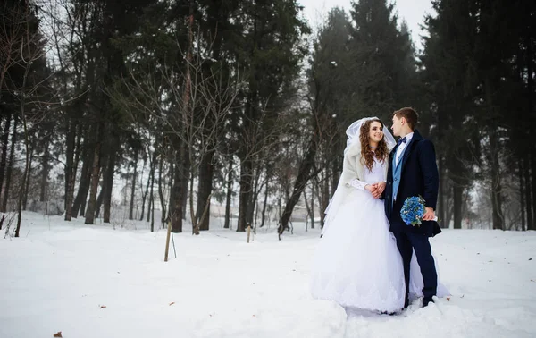 Junges stilvolles Hochzeitspaar im Wald an einem Wintertag mit Nebel. l — Stockfoto