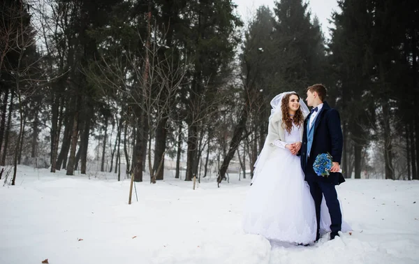 Joven pareja de boda con estilo en el bosque en el día de invierno con niebla. L — Foto de Stock