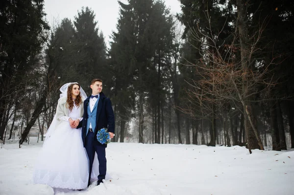 Young stylish wedding couple at forest on winter day with fog. L — Stock Photo, Image