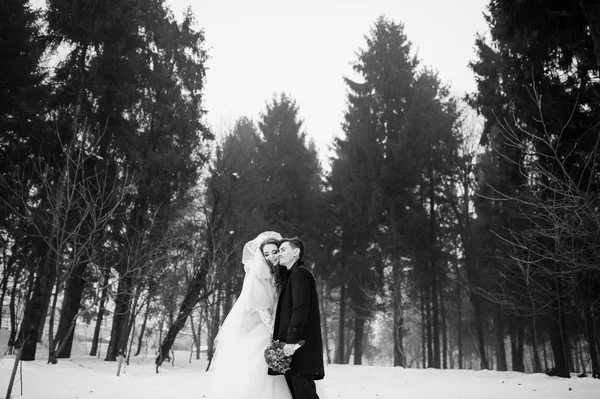 Joven pareja de boda con estilo en el bosque en el día de invierno con niebla. L —  Fotos de Stock