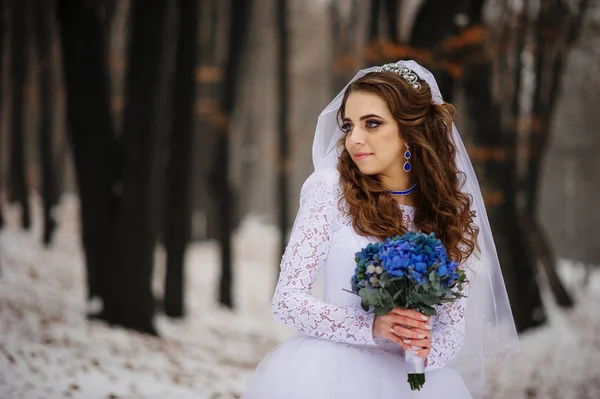 Bella giovane sposa con bouquet da sposa blu nel giorno d'inverno su wo — Foto Stock