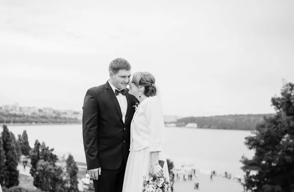 結婚式のカップルは、湖と都市風景のパノラマを背景します。Bla — ストック写真