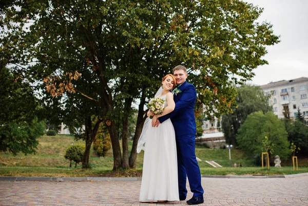 Düğün çifti, bulutlu gün arka plan ağaç aşık.