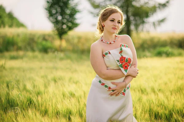 Jeune fille à la robe nationale ukrainienne posée au champ de couronnes . — Photo