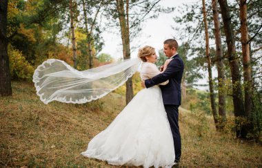 Düğün çifti, sonbahar çam ahşap aşık.