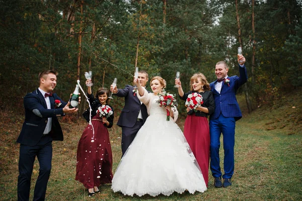 Hochzeitspaar mit Freunden Brautjungfern und Bräutigam trinken c — Stockfoto