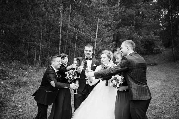 Pasangan pengantin dengan teman-teman pengiring pengantin dan pengiring pria minum c — Stok Foto