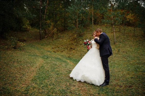 Couple amoureux à l'automne en bois de pin . — Photo