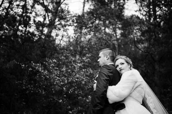 Casamento casal apaixonado em madeira de pinho de outono. Fote preto e branco — Fotografia de Stock