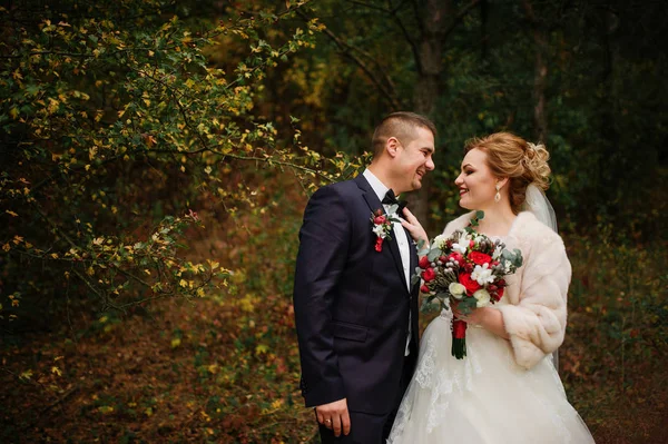Свадебная пара влюблена в осенний сосновый лес . — стоковое фото