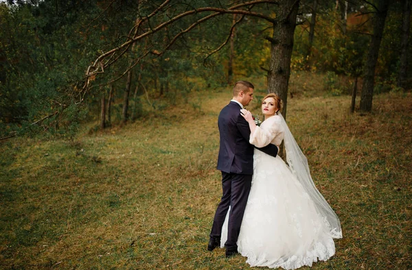 Düğün çifti, sonbahar çam ahşap aşık. — Stok fotoğraf