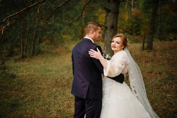 Ζευγάρι γάμος αγάπη στο φθινόπωρο ξύλο πεύκου. — Φωτογραφία Αρχείου