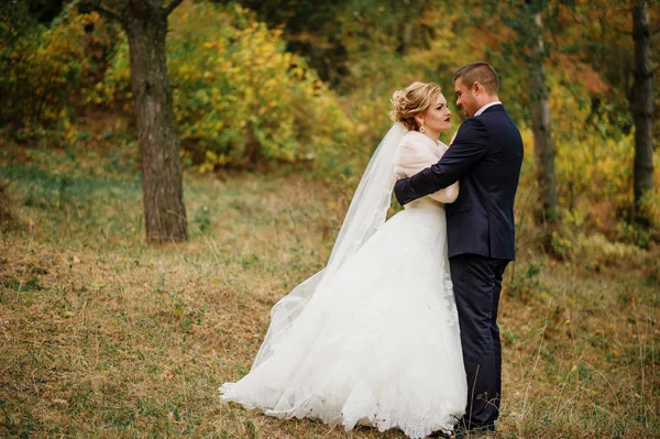 新婚夫妇在爱在秋天松木. — 图库照片