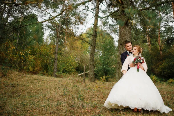 新婚夫妇在爱在秋天松木. — 图库照片