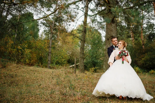 Bruidspaar in liefde op het herfst grenen hout. — Stockfoto