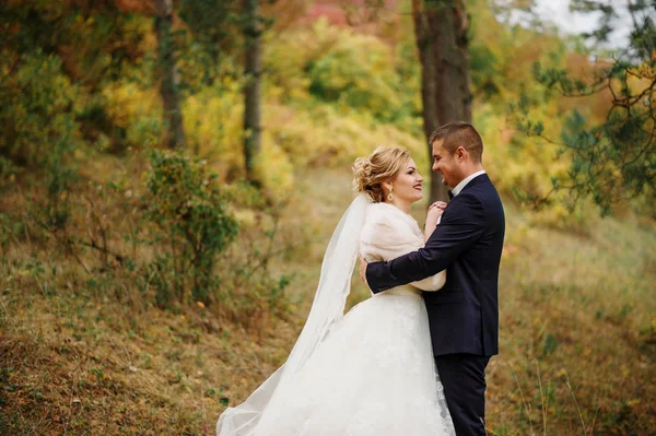 Wedding couple in love at autumn pine wood. — Stock Photo, Image