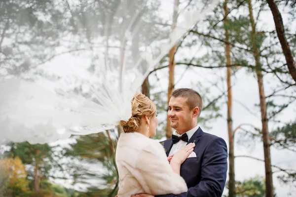Para ślub zakochany w jesień las sosnowy. — Zdjęcie stockowe
