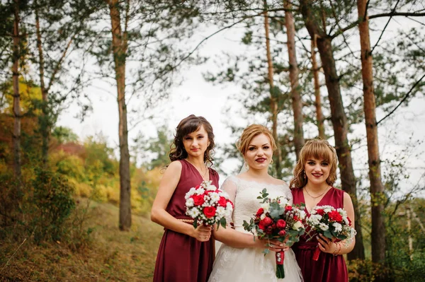 Noiva com damas de honra em vestidos vermelhos em madeira de pinheiro de outono . — Fotografia de Stock