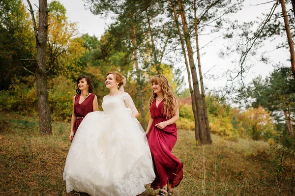 Noiva com damas de honra em vestidos vermelhos em madeira de pinheiro de outono . — Fotografia de Stock
