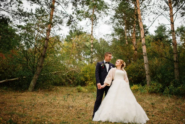 Pareja de boda enamorada en otoño madera de pino . —  Fotos de Stock