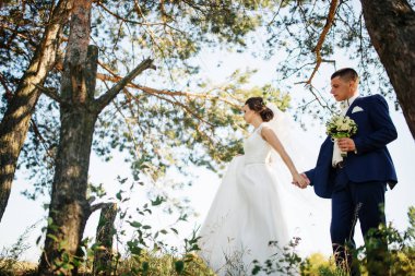 Seven genç düğün çift güneşli orman aşık.