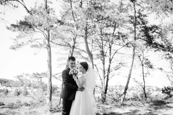 Verliebtes junges Hochzeitspaar im sonnigen Wald. schwarz-weiß — Stockfoto