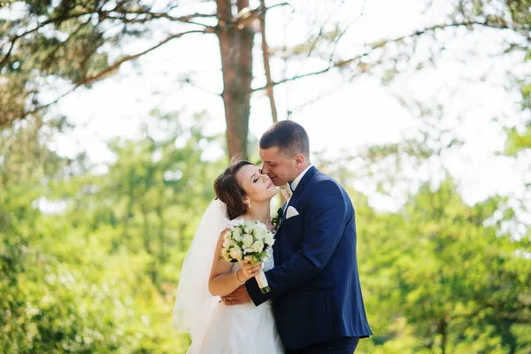 Amar jovem casal de casamento apaixonado na floresta ensolarada . — Fotografia de Stock