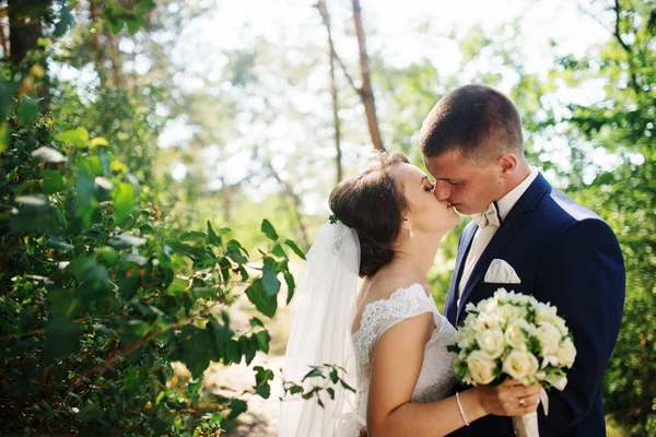Loving young wedding couple in love at sunny forest. — Stock Photo, Image