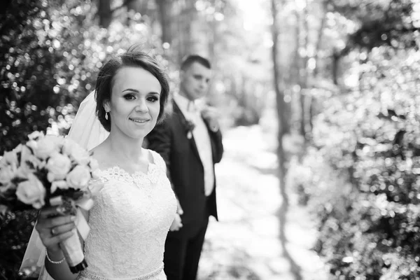 Loving young wedding couple in love at sunny forest. Black and w — Stock Photo, Image