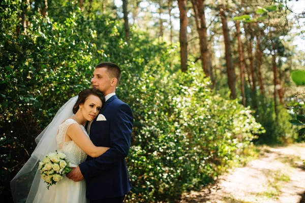 Amar joven pareja de boda en el amor en el bosque soleado . —  Fotos de Stock