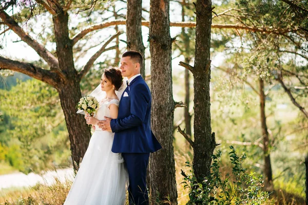 日当たりの良い林で恋愛する若い結婚式のカップル. — ストック写真