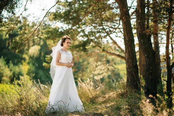 Удивительная брюнетка невеста позировала в солнечном лесу . — стоковое фото
