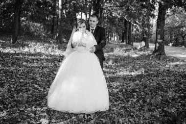 Sarı izni ile sonbahar orman sarılma sevgi dolu evlilik çift