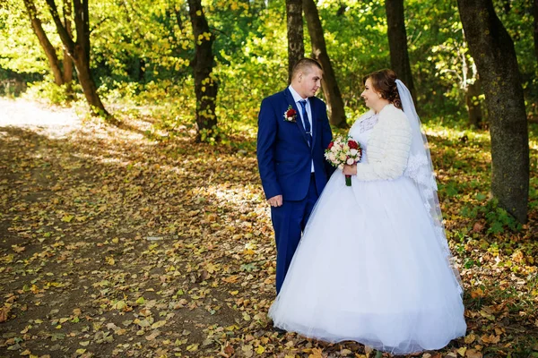 Loving wedding couple hugging at autumn forest with yellow leave — Stock Photo, Image