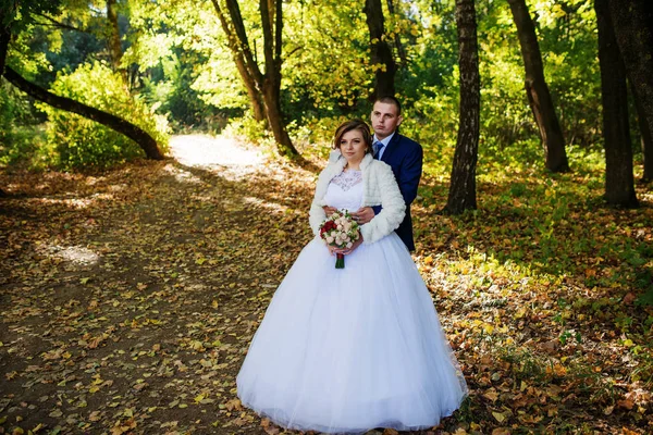 Loving wedding couple hugging at autumn forest with yellow leave — Stock Photo, Image