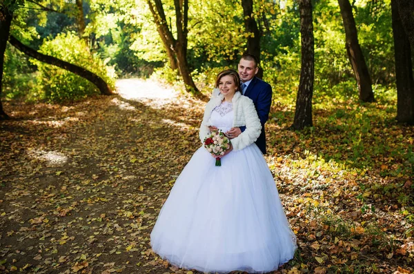 Lief bruidspaar knuffelen op herfst bos met gele verlof — Stockfoto