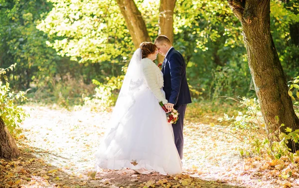 Kärleksfull bröllopsparet kramas på hösten skogen med gula ledighet — Stockfoto