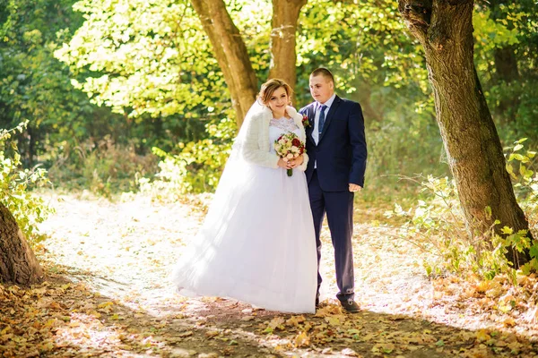 Aimant couple de mariage étreignant à la forêt d'automne avec congé jaune — Photo