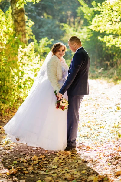 Kärleksfull bröllopsparet kramas på hösten skogen med gula ledighet — Stockfoto