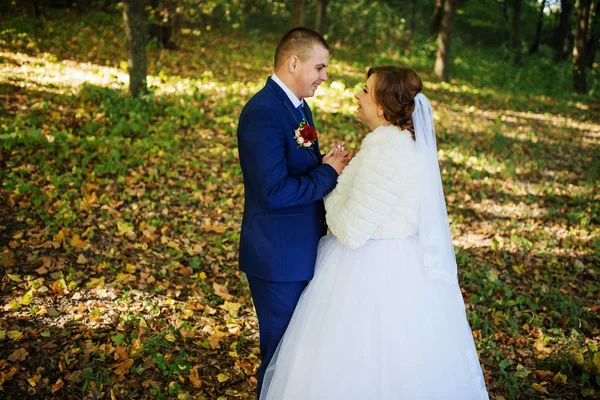 Aimant couple de mariage étreignant à la forêt d'automne avec congé jaune — Photo